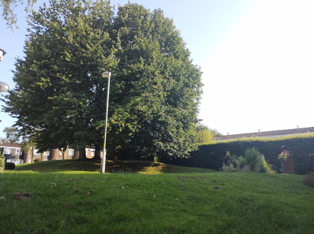 Homestay Near A Station And Park Birmingham Dış mekan fotoğraf